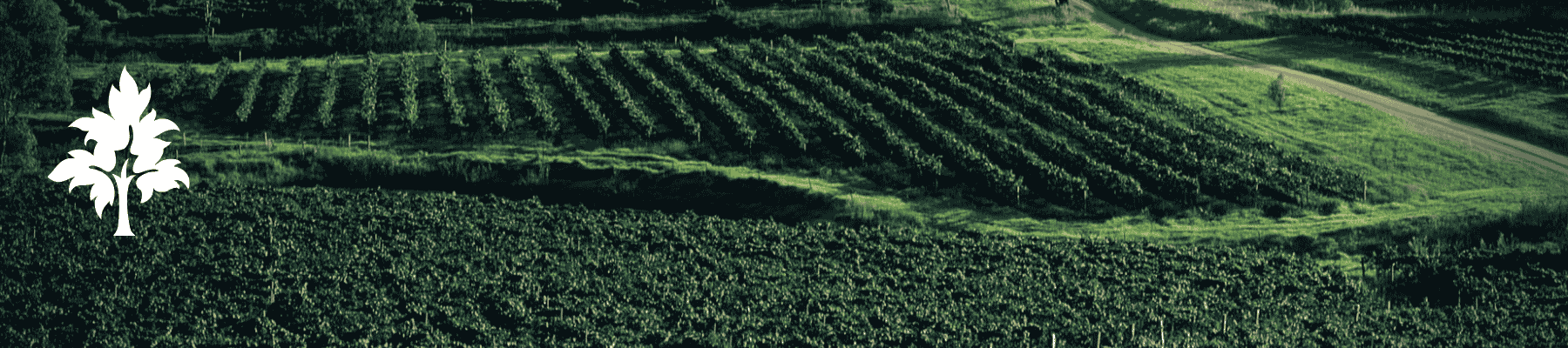 Understanding CIB&RC Regulatory Services for Pesticide Registration in India