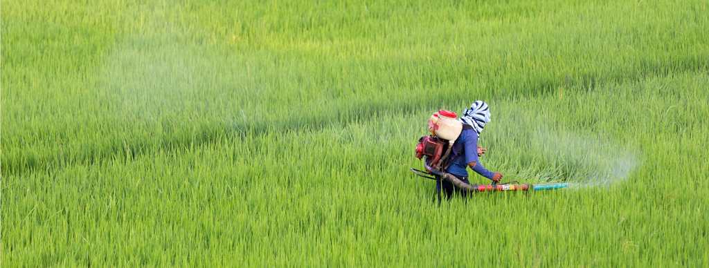 CIB&RC Registration in India—Apply for Pesticide & Agrochemical Product Approval